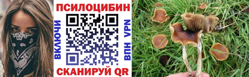 Псилоцибиновые грибы MAGIC MUSHROOMS  даркнет сайт  даркнет какой сайт  Кореновск 