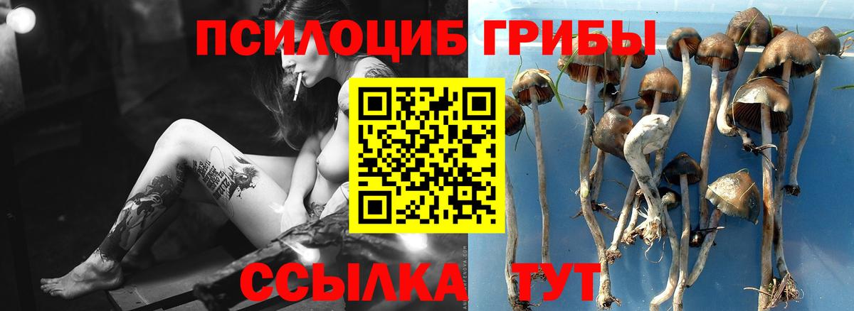 Галлюциногенные грибы прущие грибы  Вход с VPN  Кореновск  Псилоцибиновые грибы MAGIC MUSHROOMS 